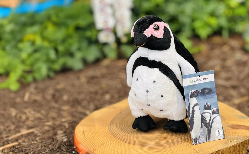 caa toronto zoo discount code